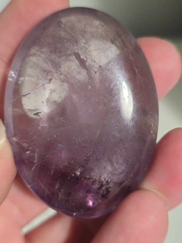 Amethyst Palm R261C