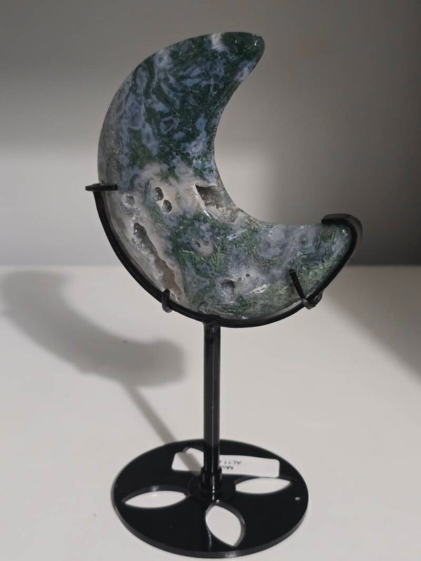 Moss Moon on Stand AL11