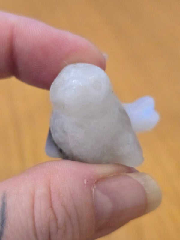 Indian Moonstone Seal S73E