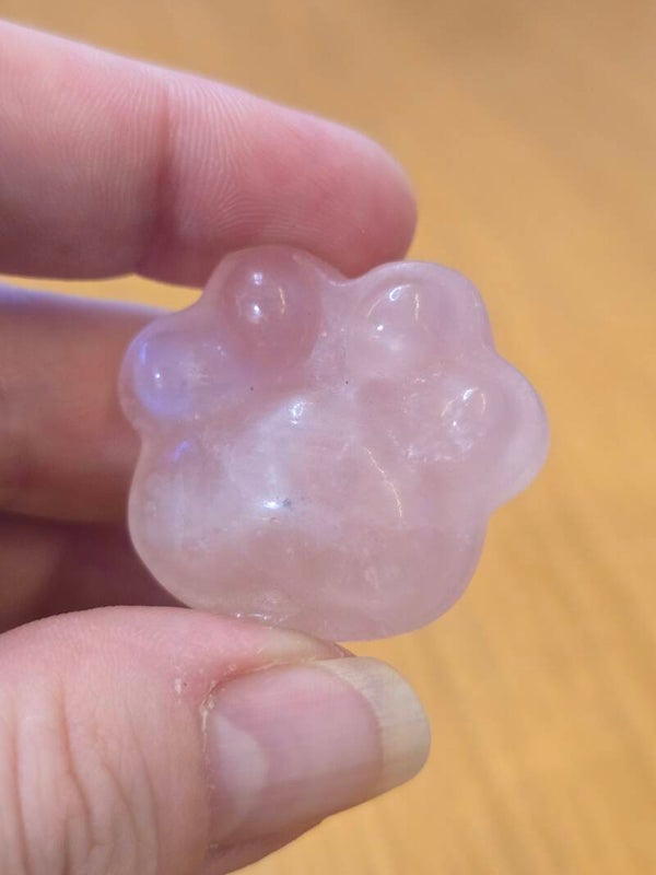 Rose Quartz Paw Carving S77