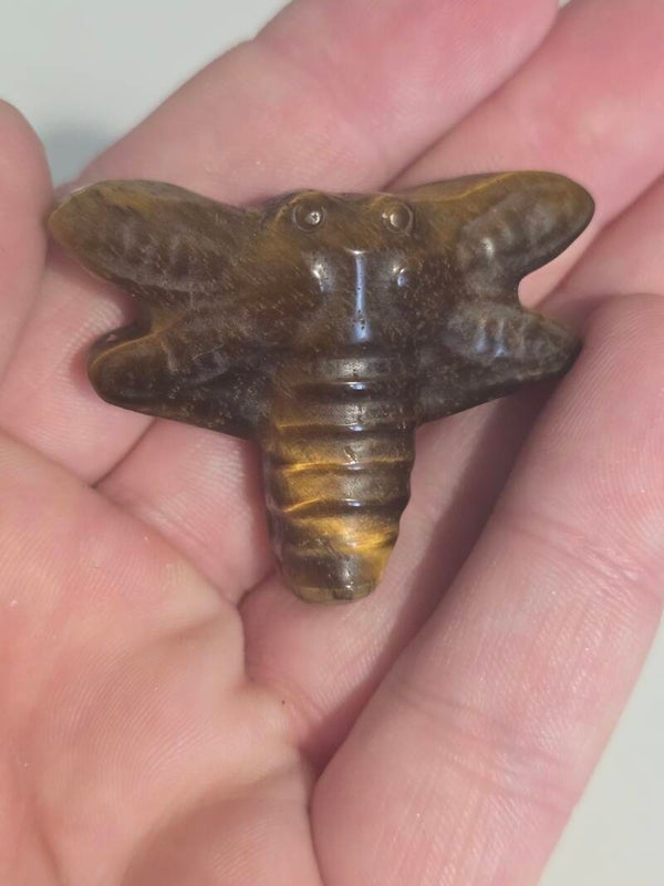 Tigers Eye Dragonfly Carving R292C