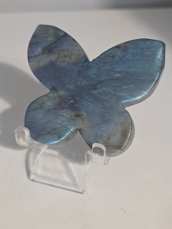 Labradorite Butterfly Carving R420