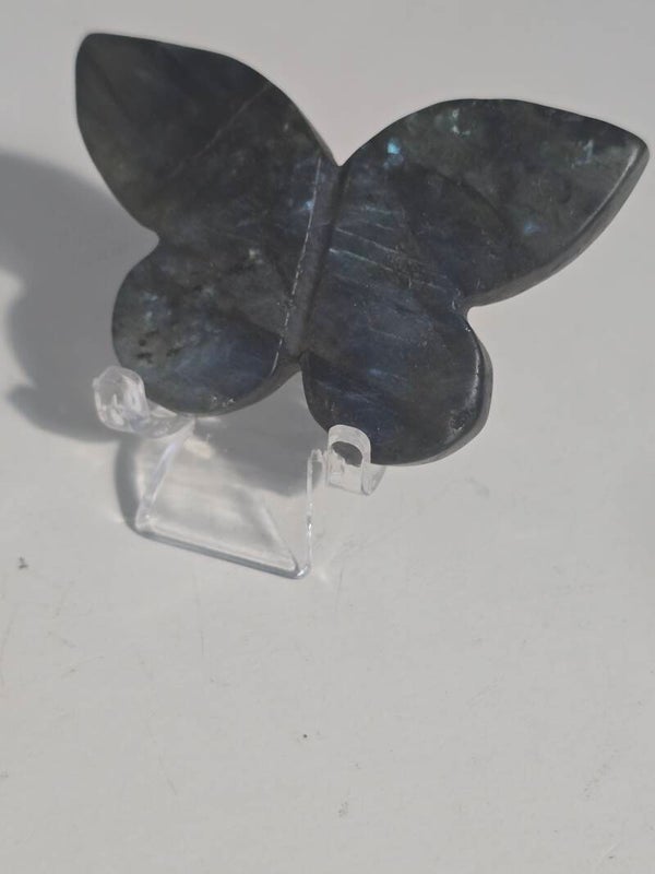Labradorite Butterfly Carving R421