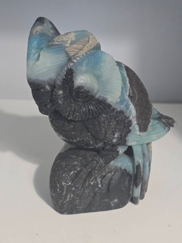 Carrabian Calcite Large Owl Carving R425