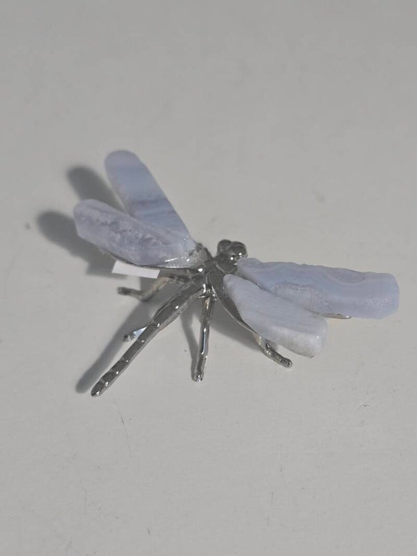 Blue Lace Dragon Fly S89
