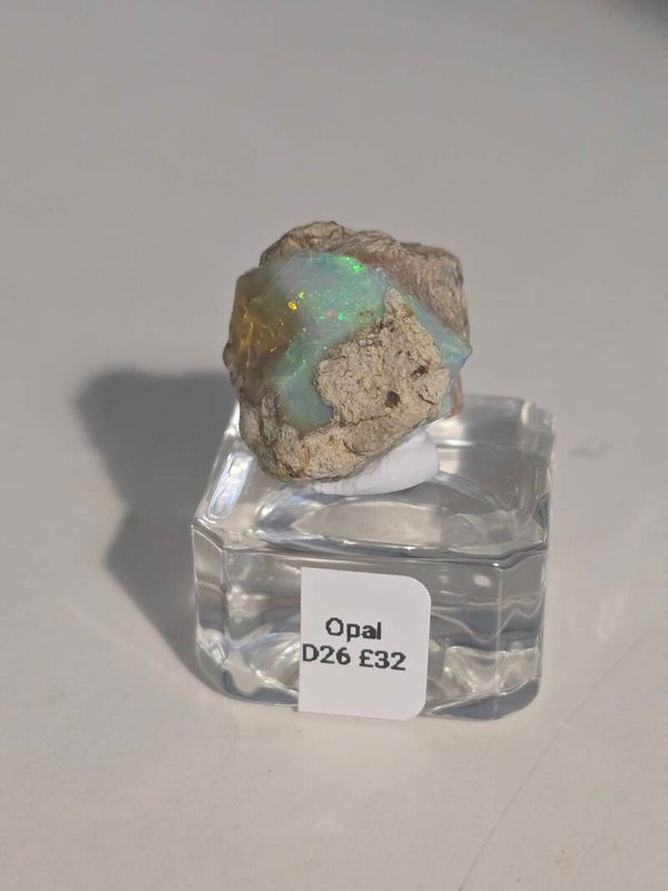 Ethiopian Opal Raw D26