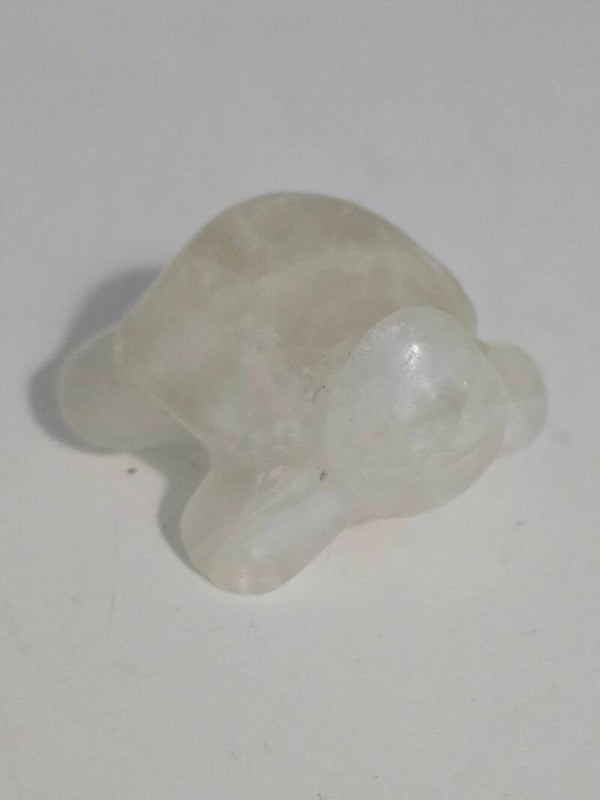Citrine Turtle R288 B