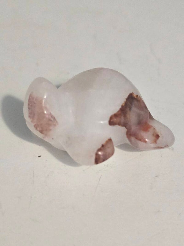 Fire Quartz Turtle R288 C