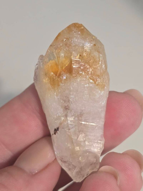 Amber Raw Point