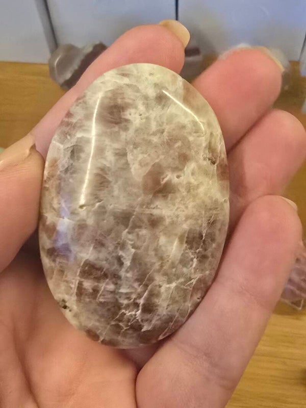 Sunstone Palm R339