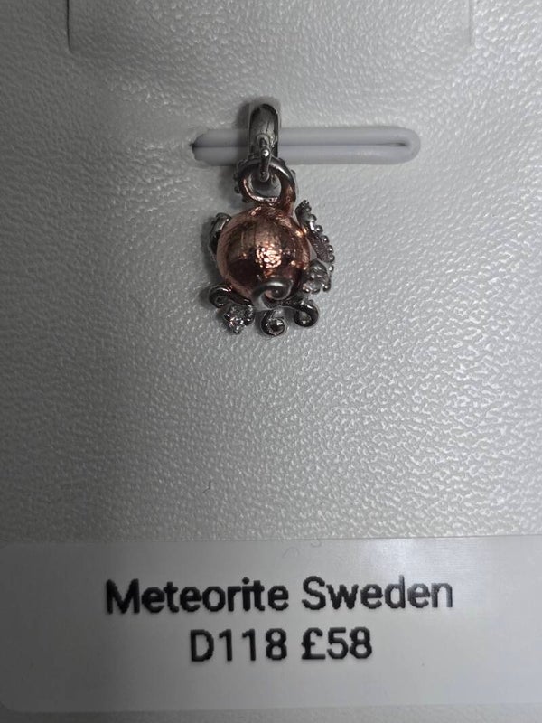 Meteorite Octopus Pendant 925s D118