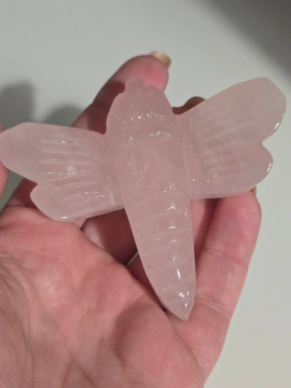 Rose Quartz Dragonfly Z721