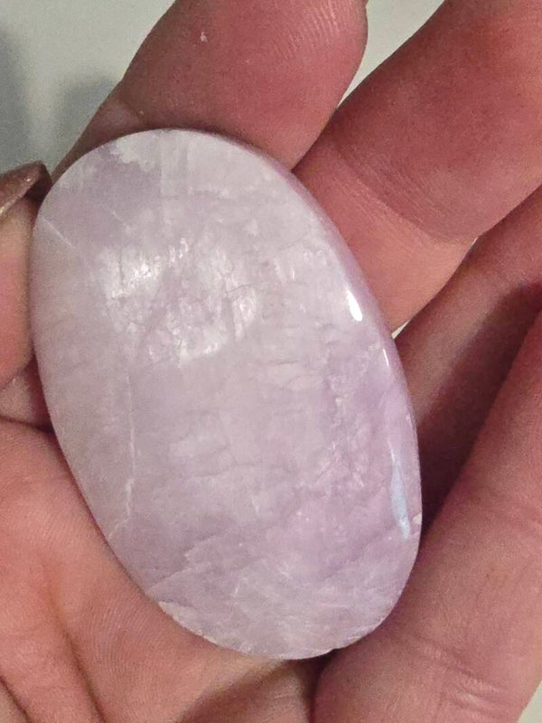 Kunzite Palm R481