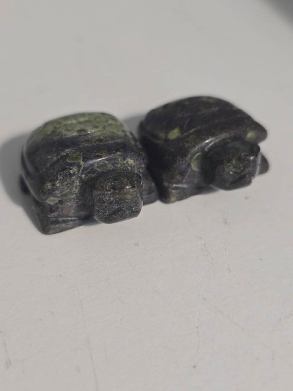 Dragon Blood Mini Tortoise Z