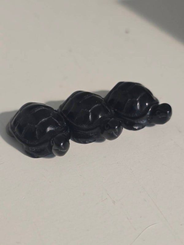 Black Obsidian Mini Tortoise Z
