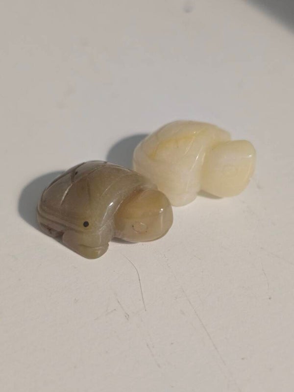 Golden Healer Mini Tortoise Z