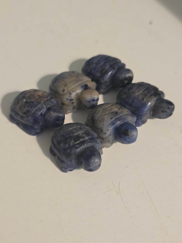 Sodalite Mini Tortoise Z