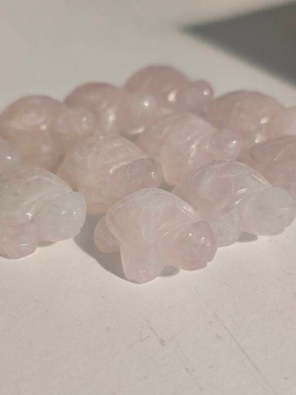Rose Quartz Mini Tortoise Z