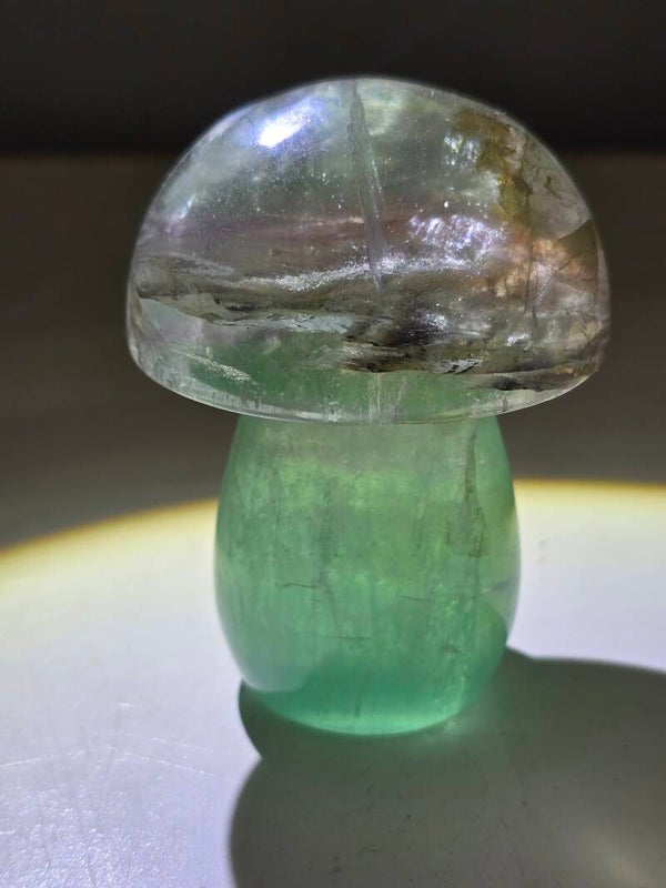 Fluorite Mushroom Z849