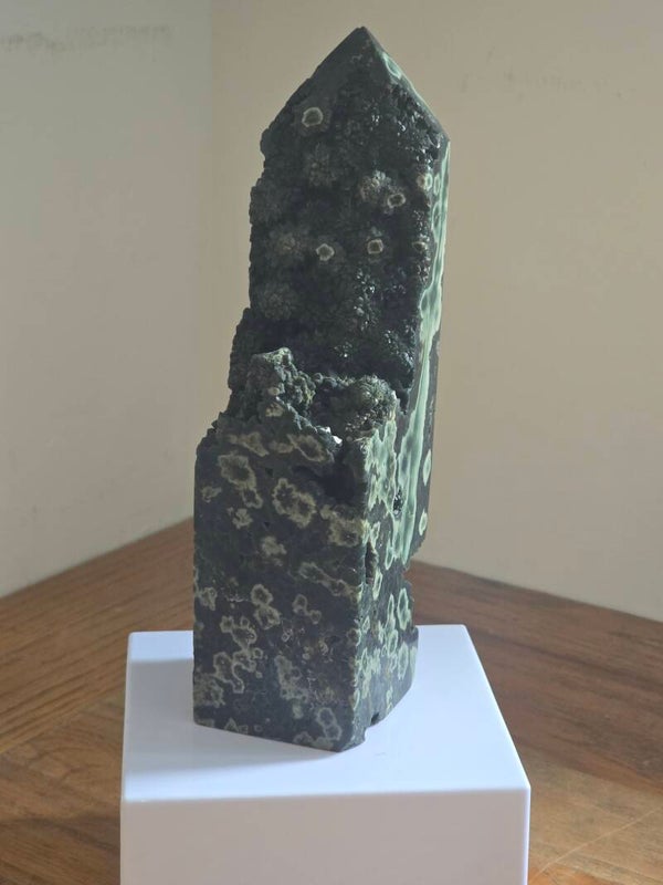 Orbicular Jasper Z648
