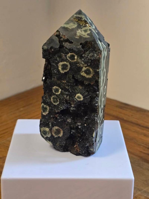 Orbicular Jasper Z646