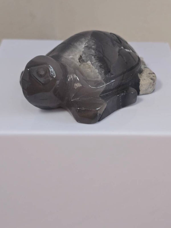 Volcano Agate Turtle R443