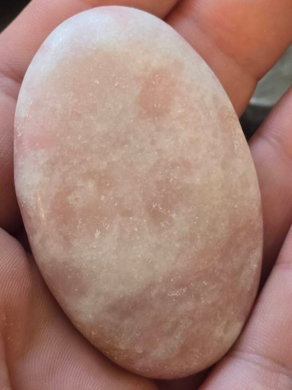 Pink Opal Palm R633