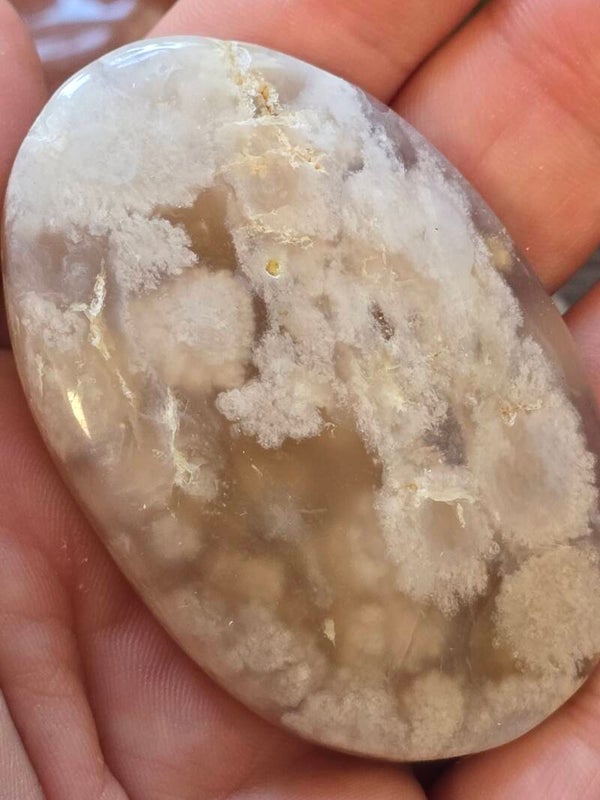 Flower Agate Palm R342