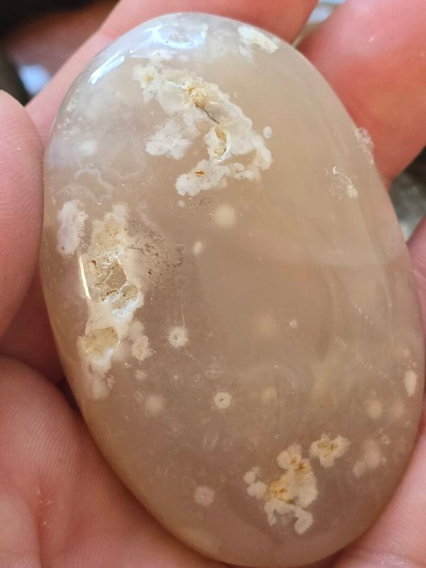 Flower Agate Palm R343