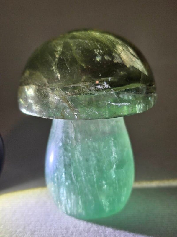 Fluorite Mushroom Z849