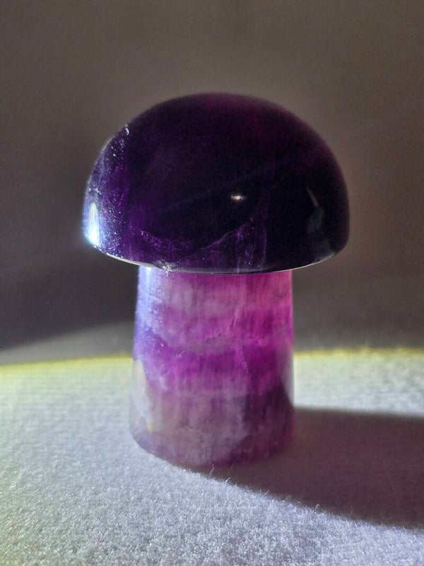 Fluorite Mushroom Z170