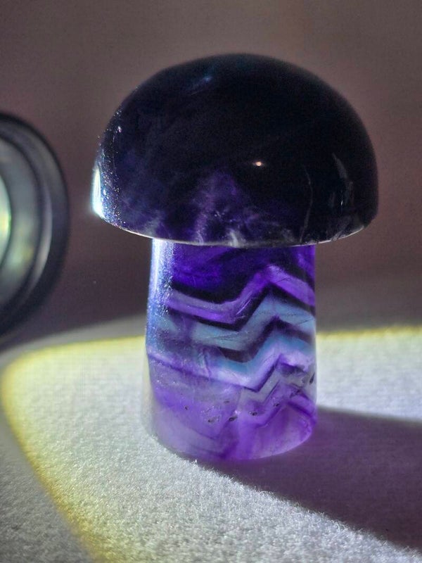 Fluorite Mushroom Z170