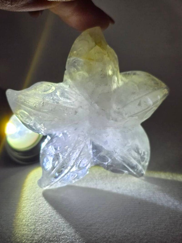 Clear Quartz & Golden Healer Starfish Z910