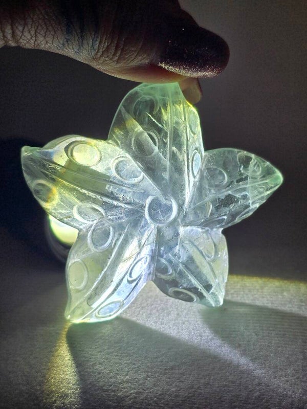 Fluorite Starfish Z908A