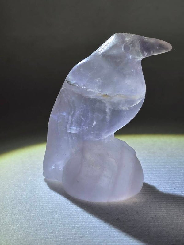 Rose Quartz Raven Z989D