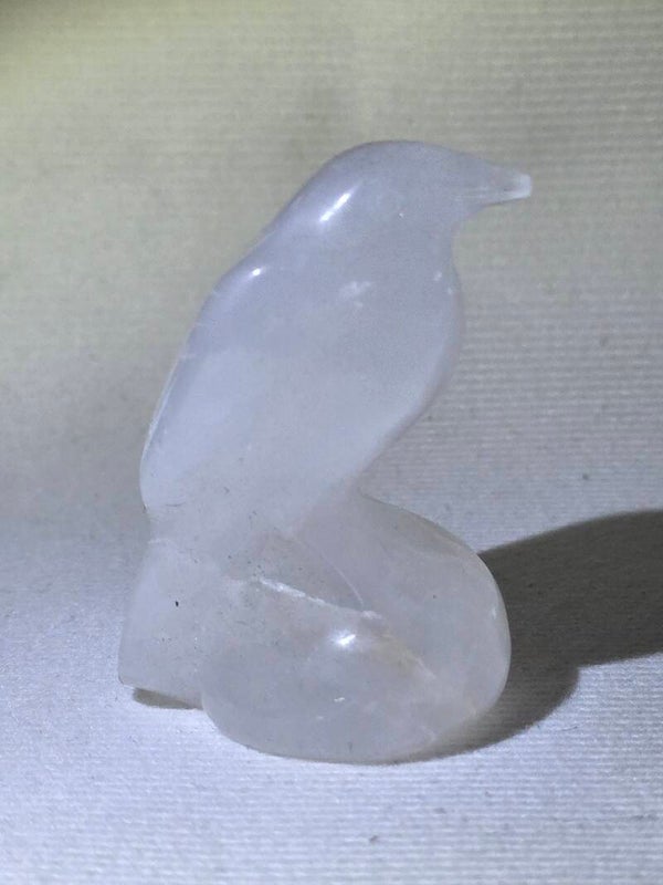 Clear Quartz Raven S196