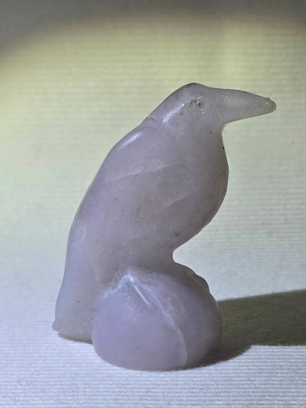 Rose Quartz Raven Z989C