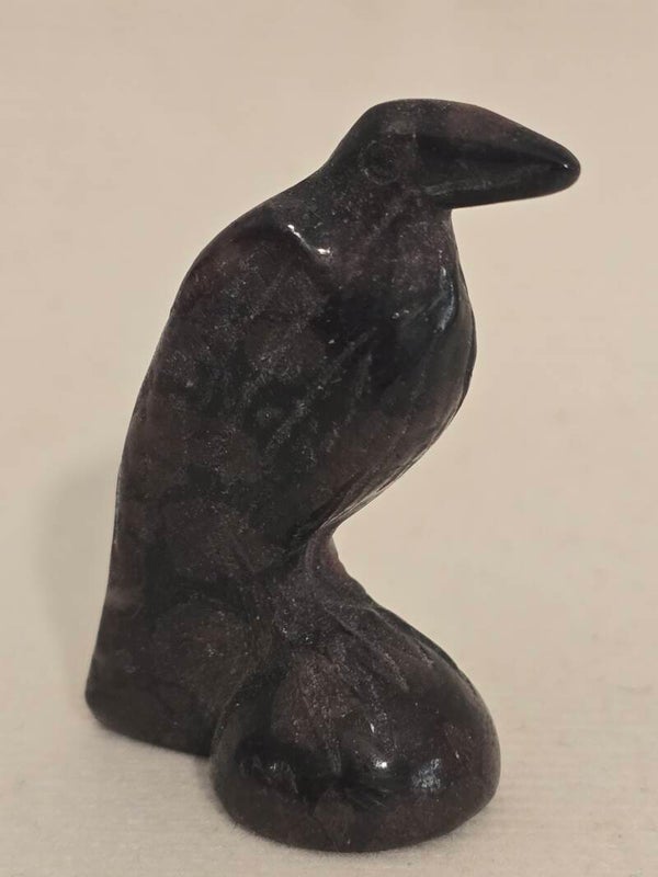 Garnet Raven R586