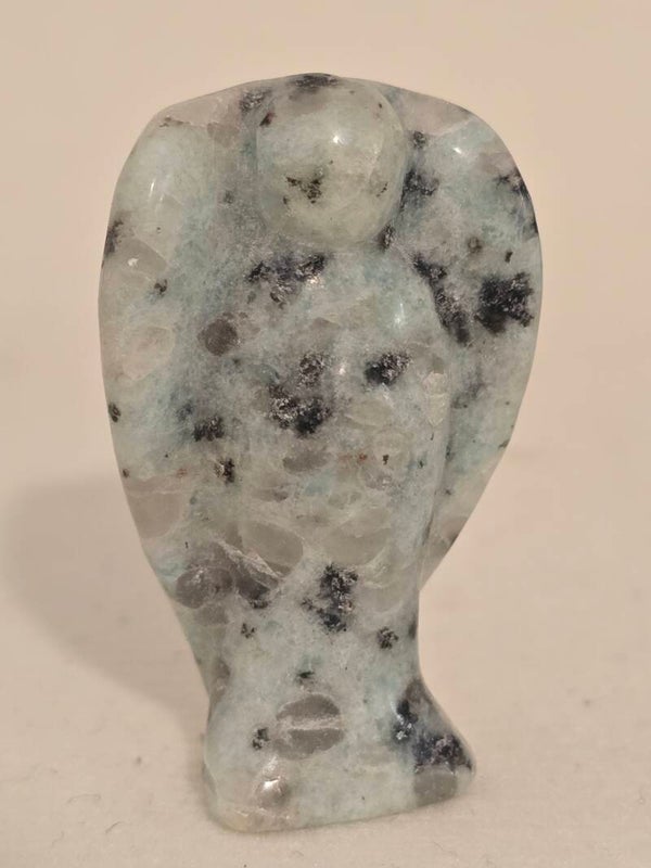 Kiwi Jasper Angel R234A