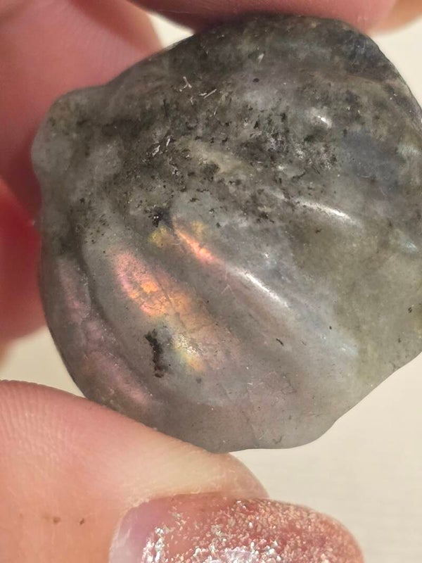 Labradorite Clam S155