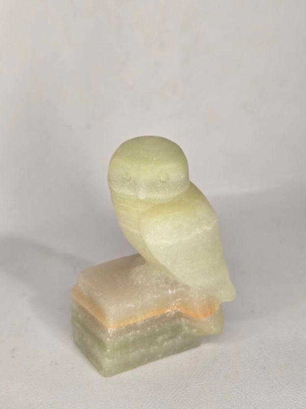 Afgan Jade Owl On Books S237