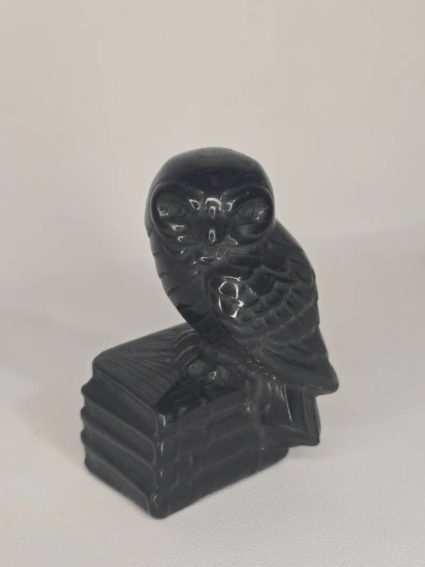 Obsidian Owl On Books S237