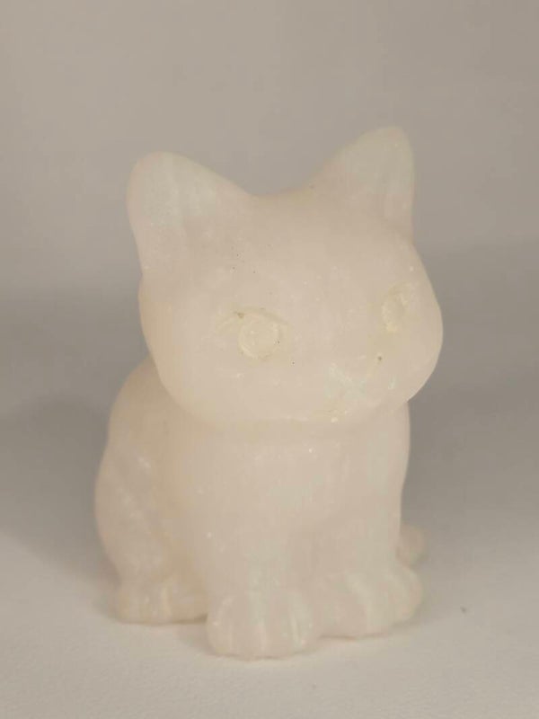 White Jade Cat R731