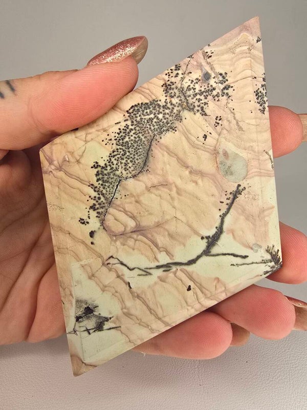 Picture Jasper Diamond R598