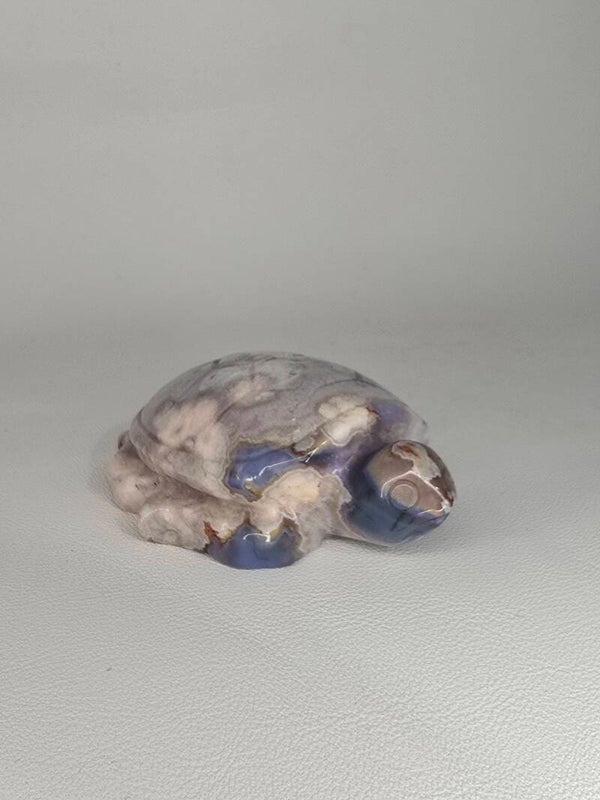 Blue Flower Turtle Z609