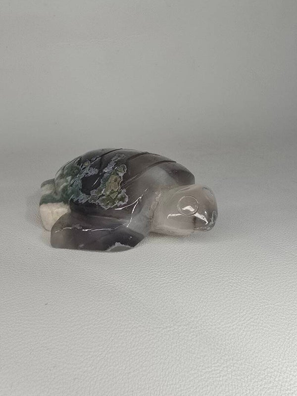 Green Flower Turtle Z854