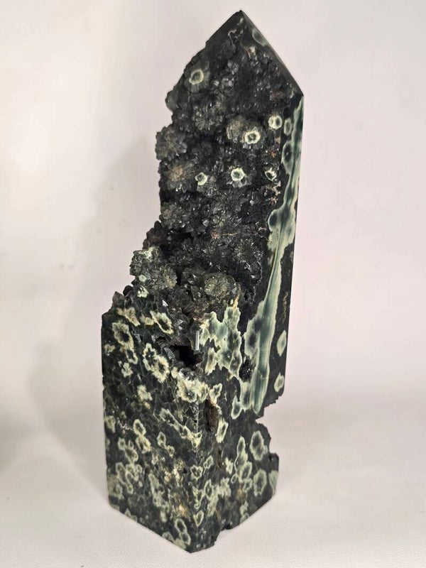 Orbicular Jasper Tower 1254g Z648