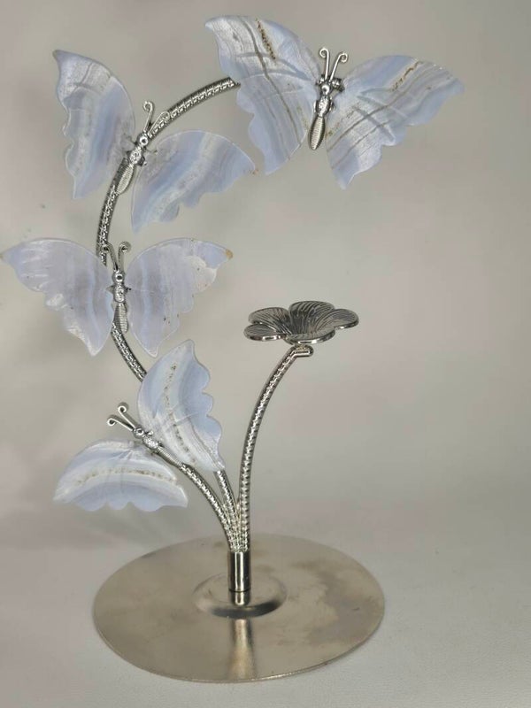 Blue Lace Butterfly Stand Z118