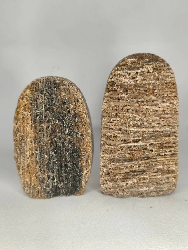 Druzy Petrified Wood Freeforms