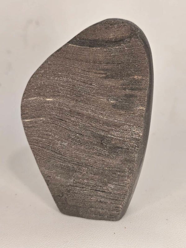 Black Petrified Wood Freeform 202g J134